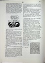 carelit_772895_4.jpg