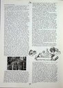 carelit_773001_4.jpg