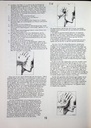 carelit_772995_4.jpg