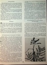 carelit_775395_2.jpg